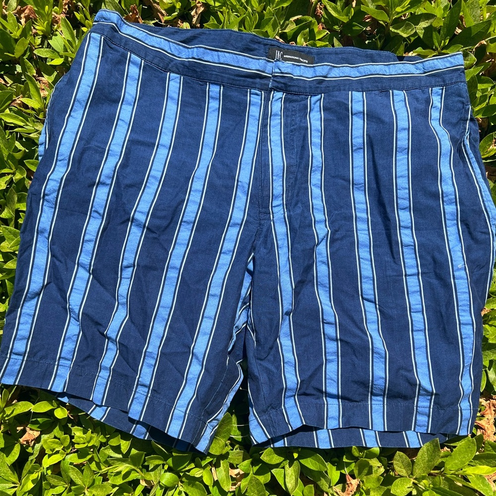 Men’s INC Blue Stripe Summer Shorts
